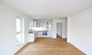 Wohnzimmer mit offener Küche